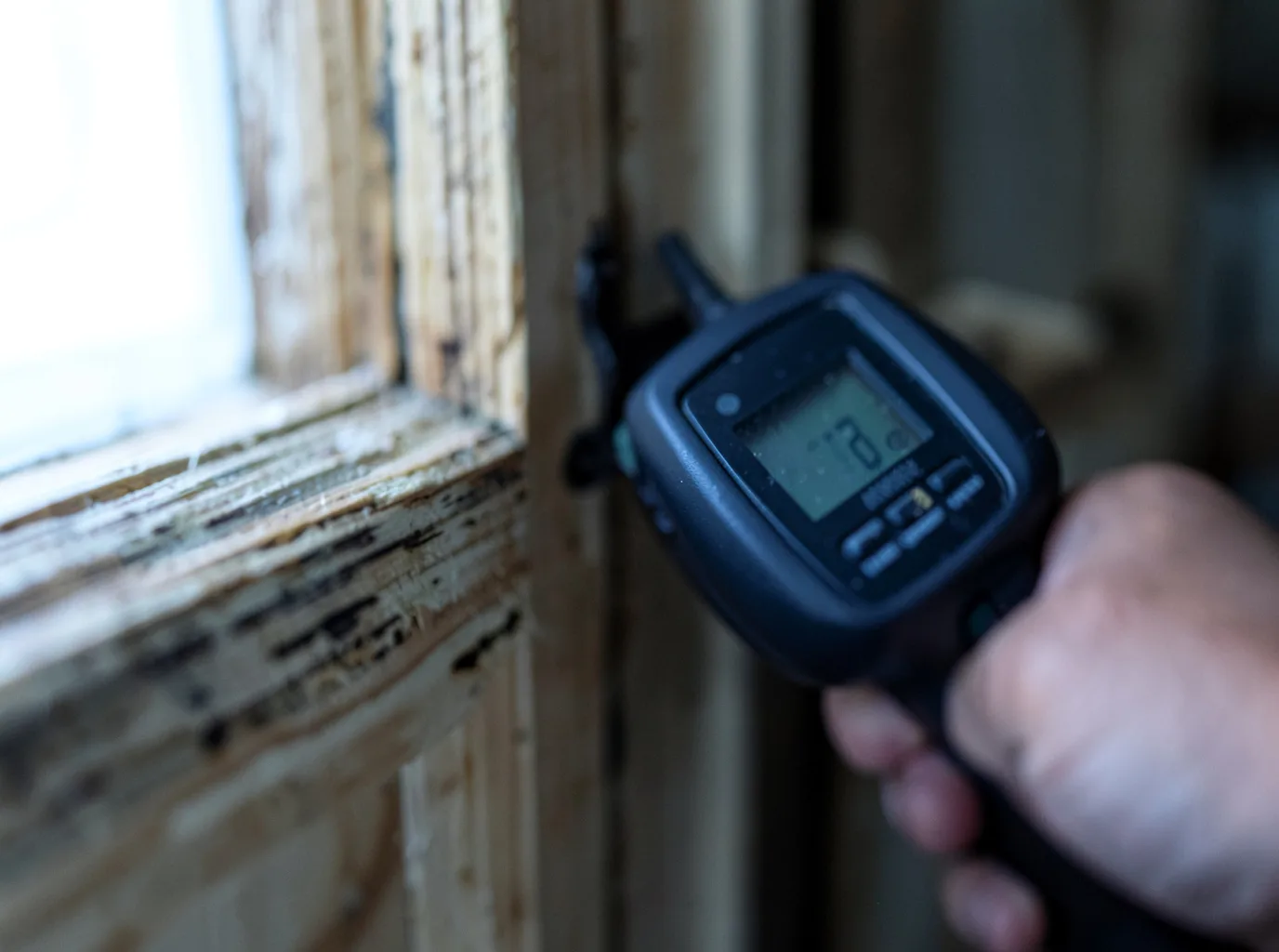 Commercial Water Damage Restoration in Chadwick, IL